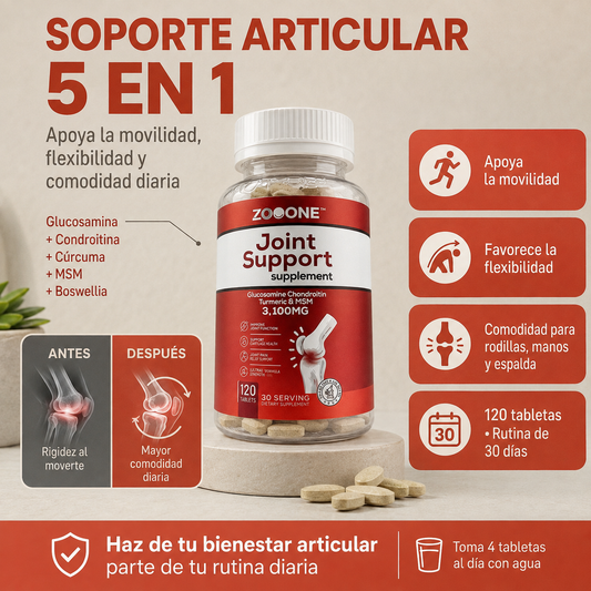 ZOOONE 1 A